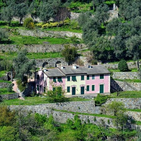 Villa Olivari - Apt La Lavanda 卡莫利 外观 照片