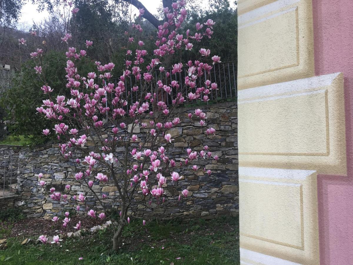 Villa Olivari - Apt La Lavanda 卡莫利 外观 照片