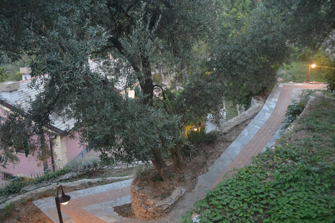 Villa Olivari - Apt La Lavanda 卡莫利 外观 照片