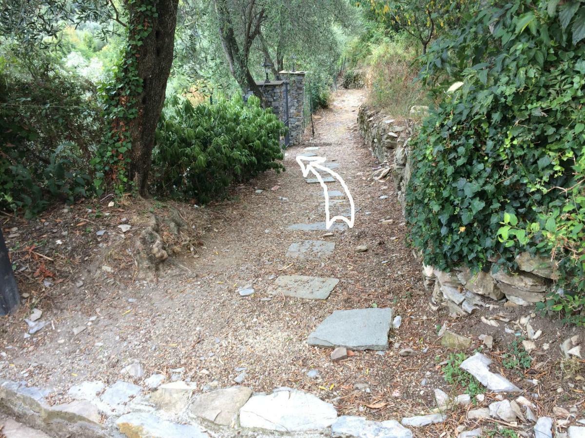 Villa Olivari - Apt La Lavanda 卡莫利 外观 照片