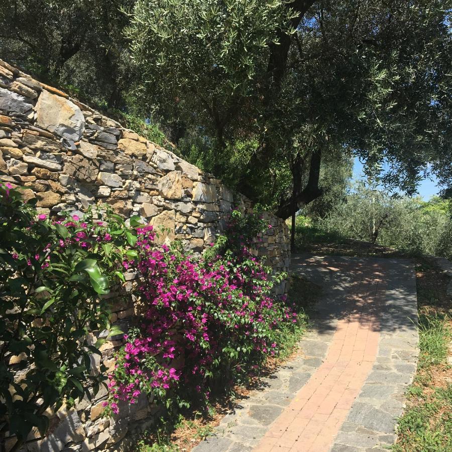 Villa Olivari - Apt La Lavanda 卡莫利 外观 照片