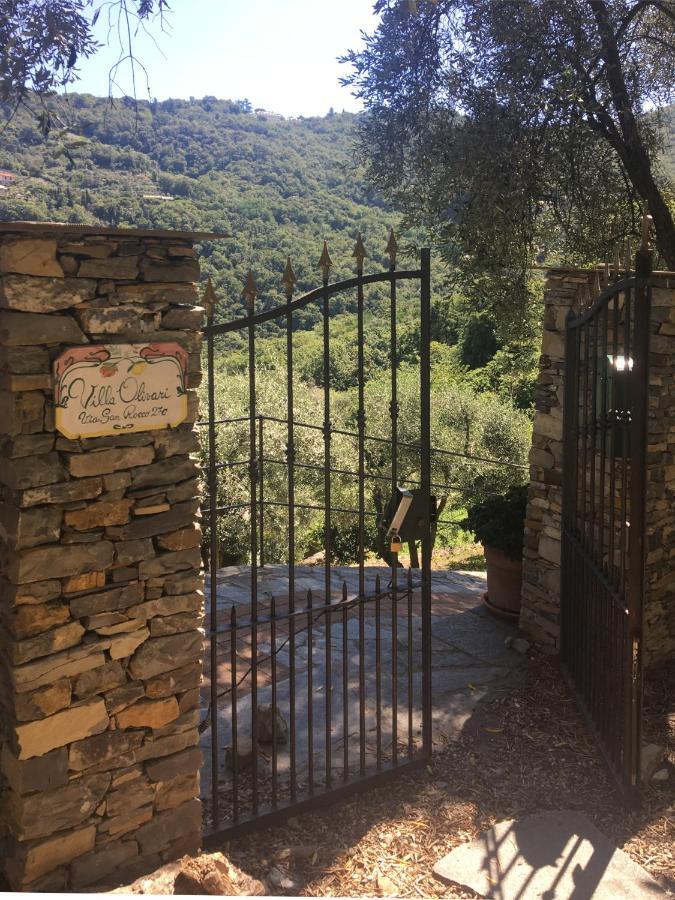Villa Olivari - Apt La Lavanda 卡莫利 外观 照片